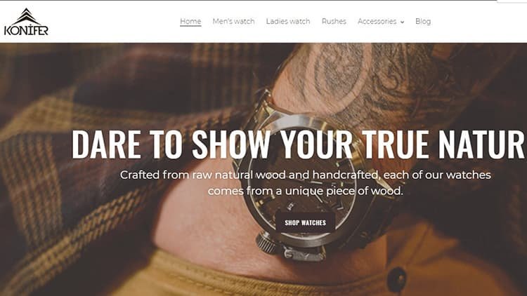 watch bracelet company